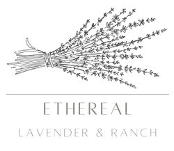 Ethereal Lavender & Ranch
