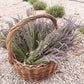 Lavender Bundle